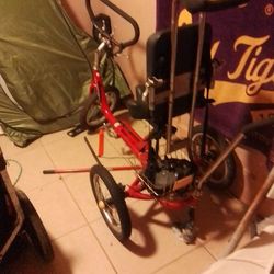 3 Wheel Bike