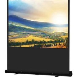 Dalite Projector Screen