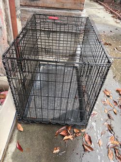Pet kennel
