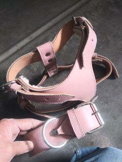 Collar And Harness Combo