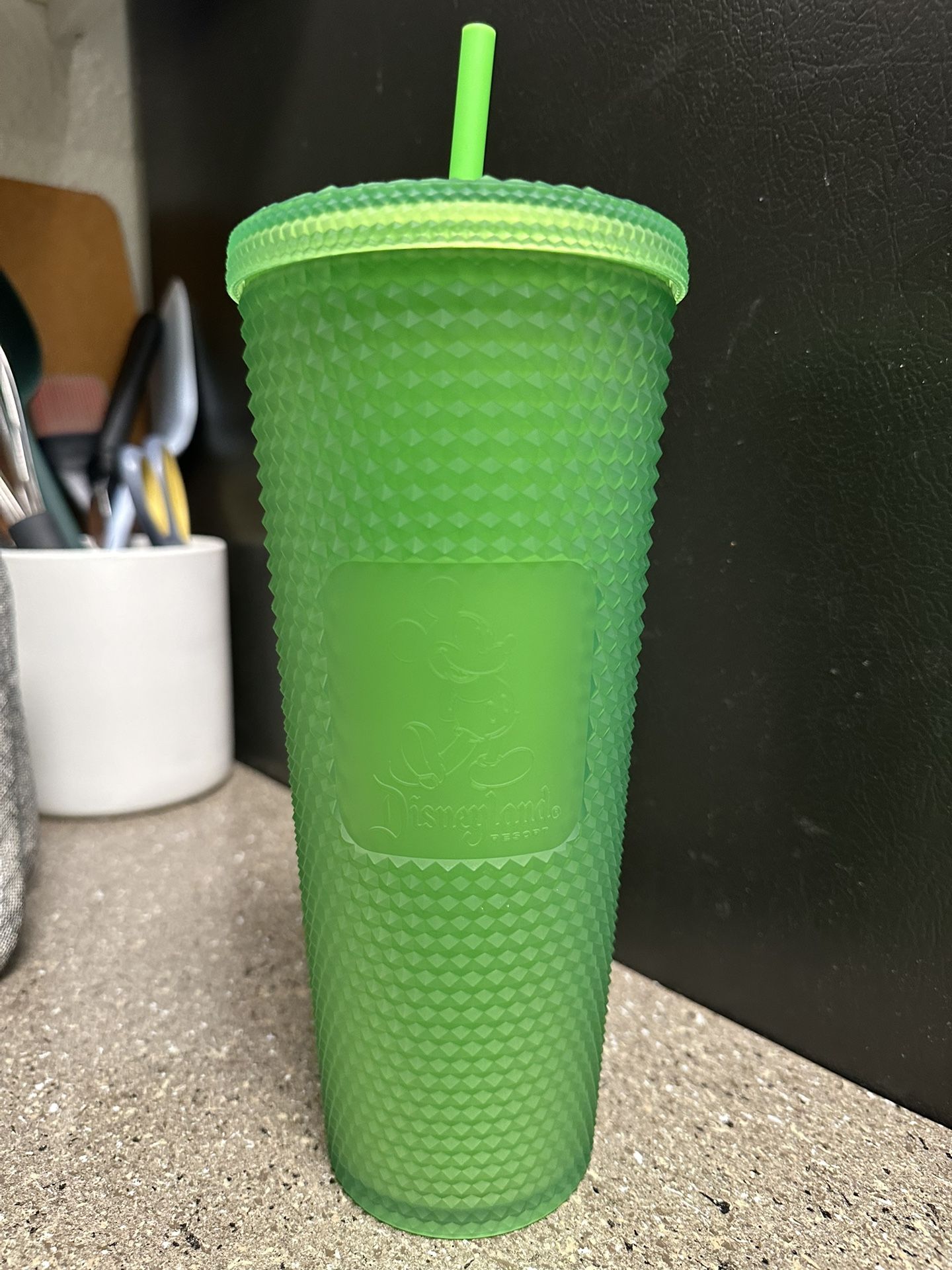 Disneyland Resort Starbucks Tumbler