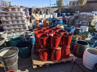 11/14 - This Just In: Lots of Pots - Pottery and Plants for Sale