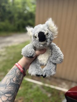 Koala Webkinz