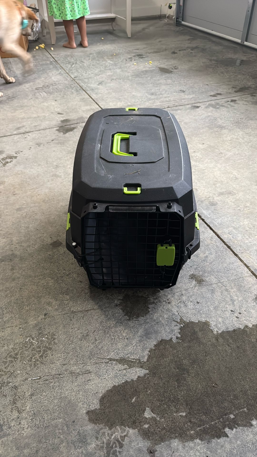 Small Dog Crate