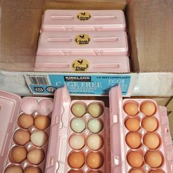 Fresh Farm Dated Eggs Homeland