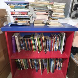 Kids Bookshelf With TONS Of Books