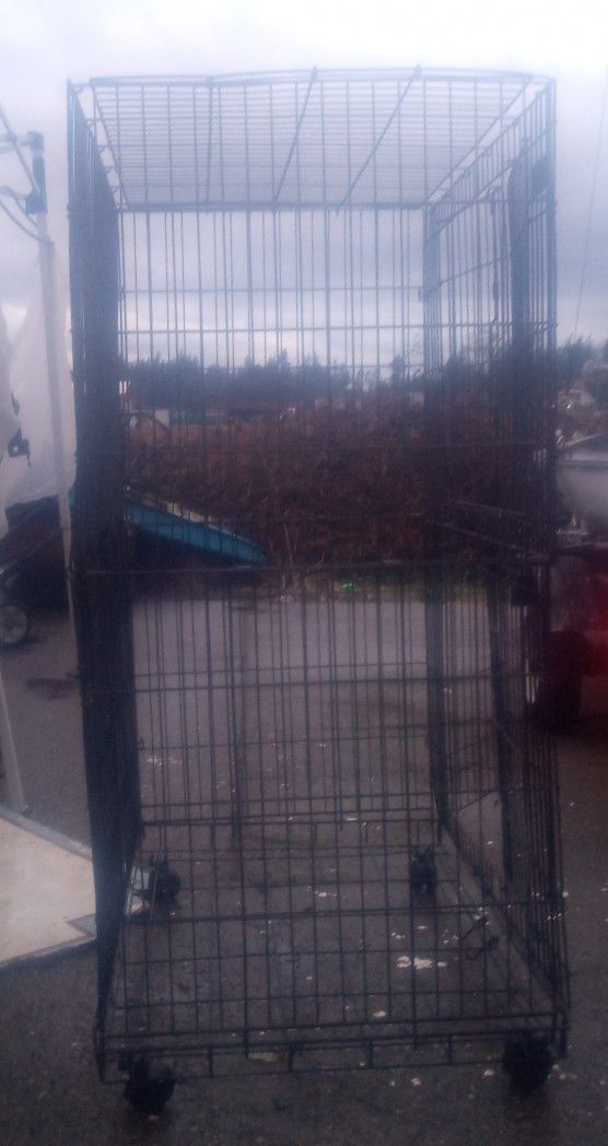 Ferret Or Critter Cage