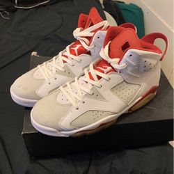 Jordan 6s 