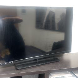 Vizio Tv