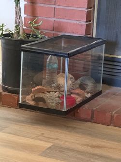 Reptile tank