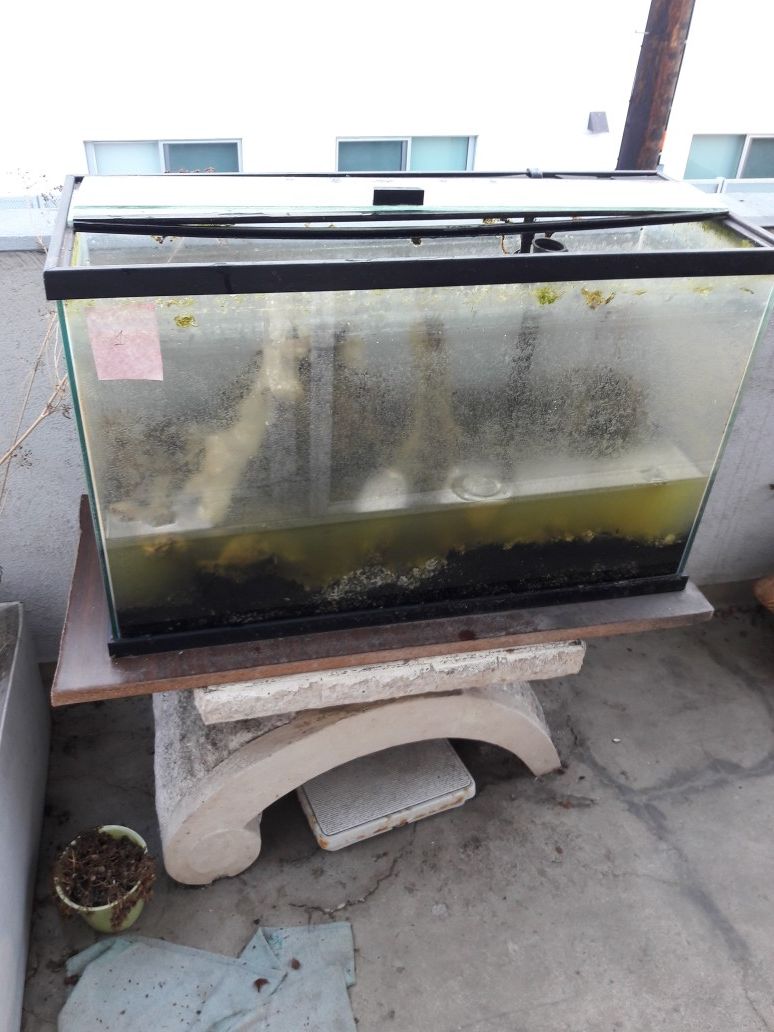 30 gal fish tank with a stand