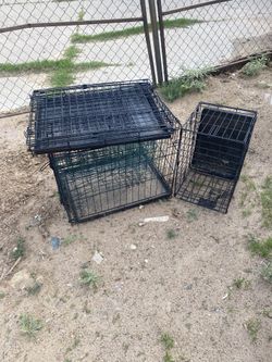 Jaula Para Perros Pequeña 15 Cada Una
