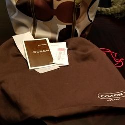 Vintage silk Coach Purse (Authentic)