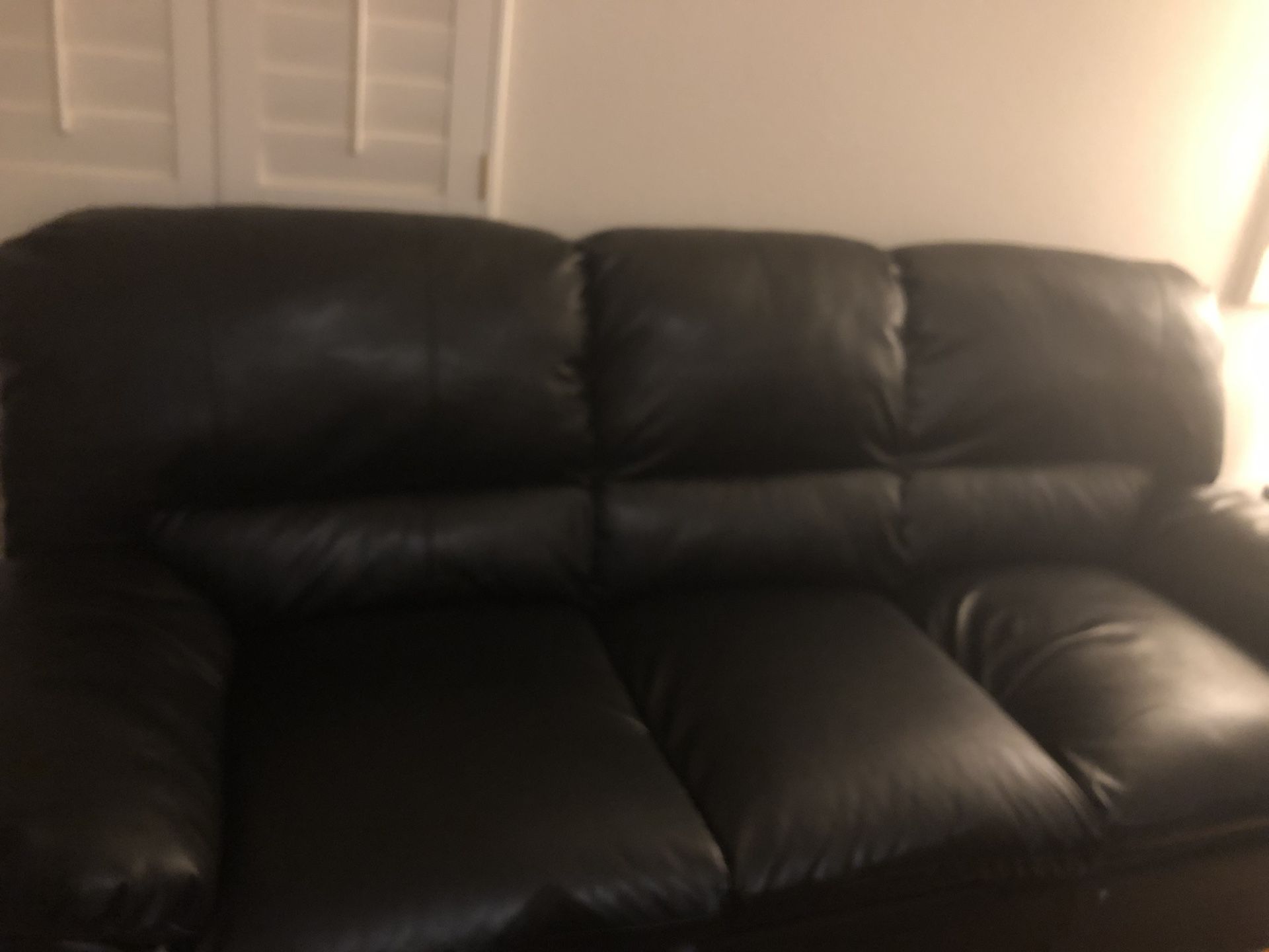 Leather Futon