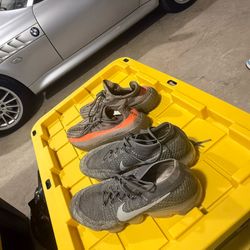 Adidas Yeezy Belugas and Nike Vapor Max