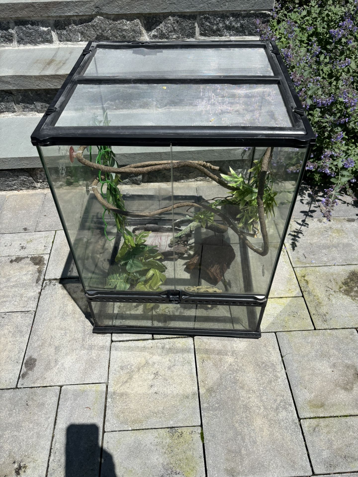 Gecko Tank And Accessories