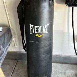 Punching Bag