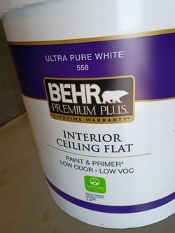 Ceiling paint