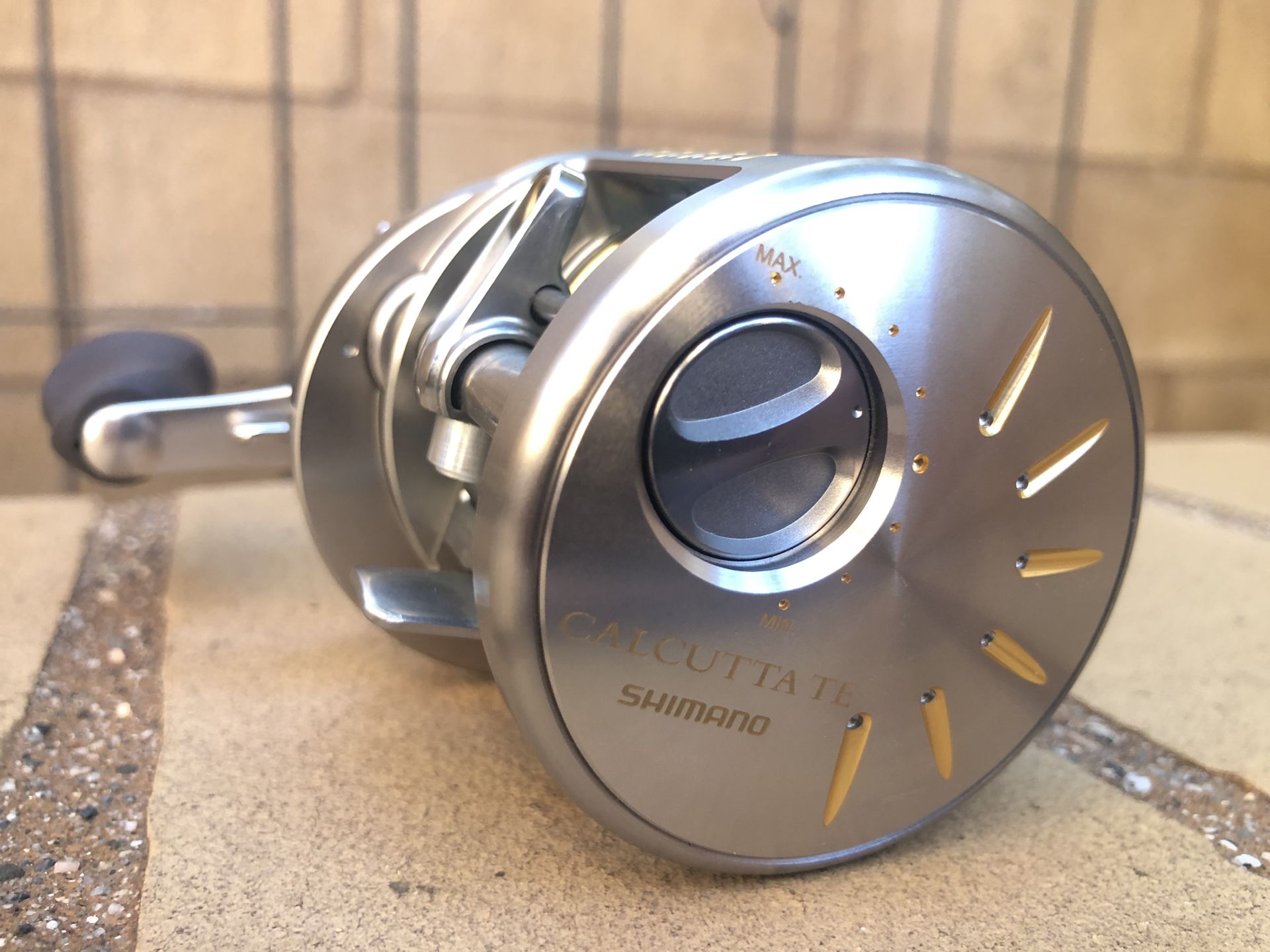 Shimano Calcutta TE 250DC