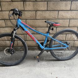 Giant brand XTC  jr $30
