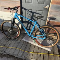 Giant Bike 