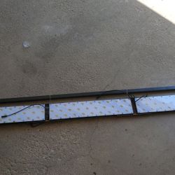 Sunny day reef light