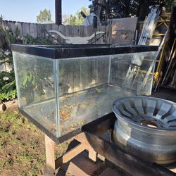 40 Gal Fish Tank