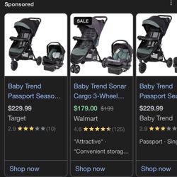 Baby Trend Passport Seasons