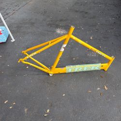 Bike Frame 