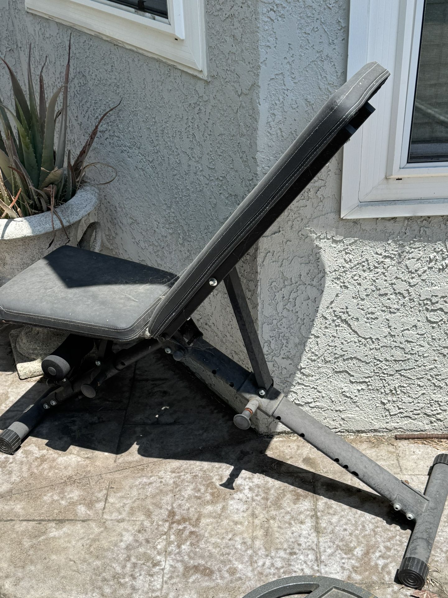 Workout Bench