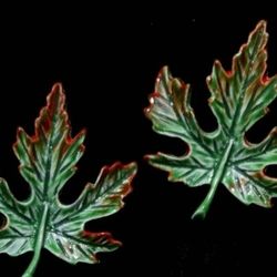 Leaf Brooches Pair Of Scatter Pins - Green & Brown Fall Leaves Vintage