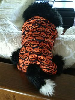 Adorable Halloween Dog Jammies