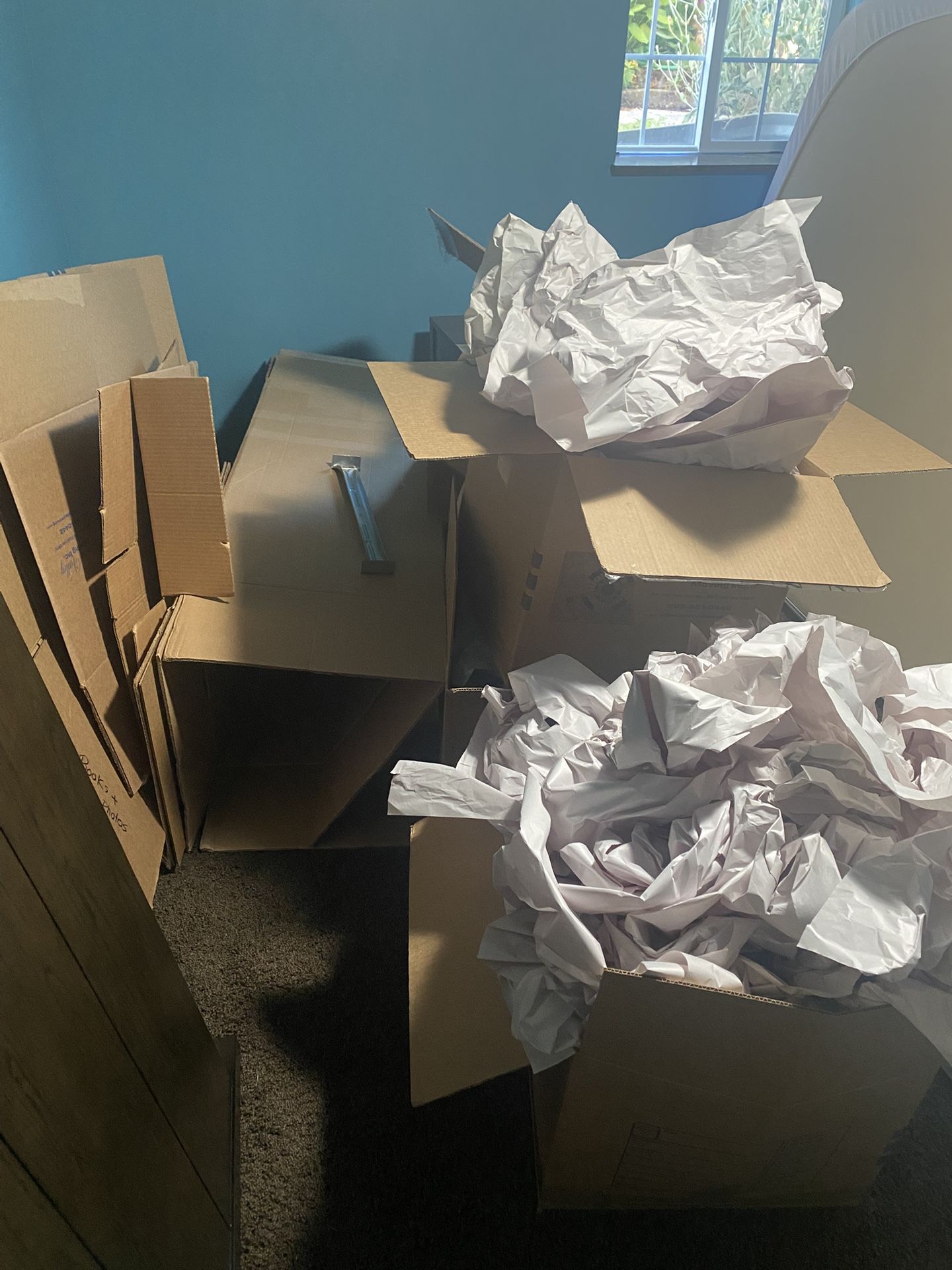 Moving Boxes And Paper