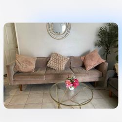 Pink, velvety Couch 