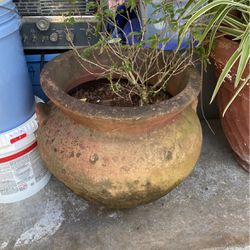 Ceramic Large Pot Planter