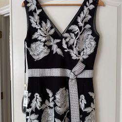 Tadashi Shoji Evening Dress