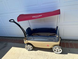 Kids wagon