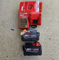 Milwaukee 18v Batteries 5.0 Ah And Charger Brand New 