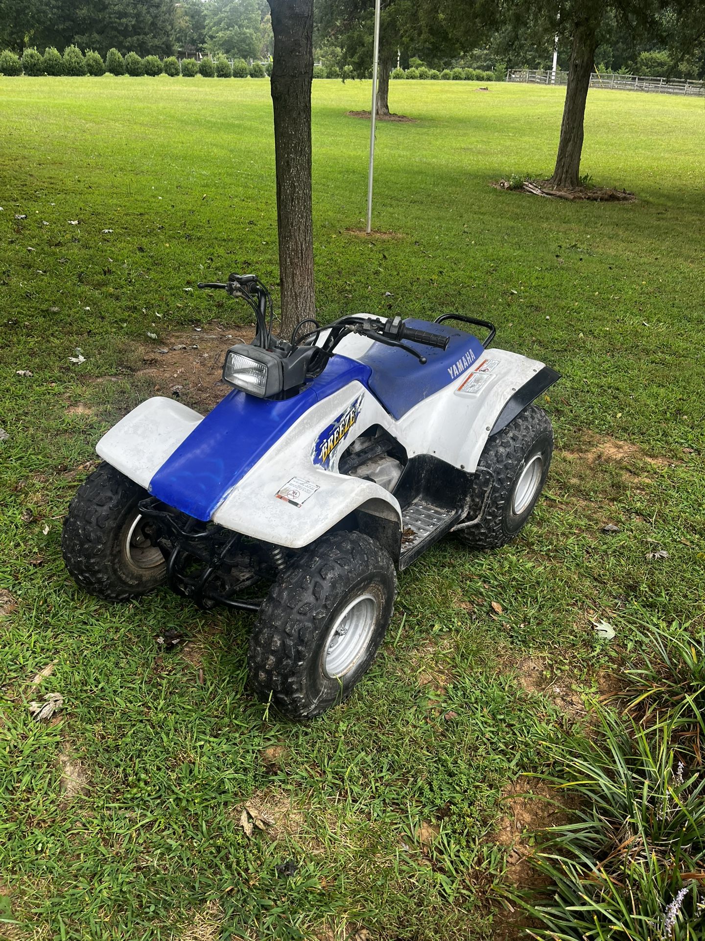 2000 Yamaha Breeze
