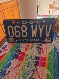 Vintage Michigan Great Lakes License Plate