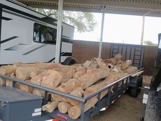 Tree Stumps