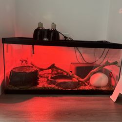 40 Gallon Enclosure