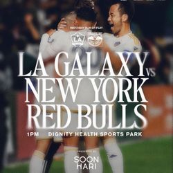 La Galaxy Vs New York Red Bulls MLS Cup 