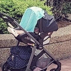 Graco Travel System 