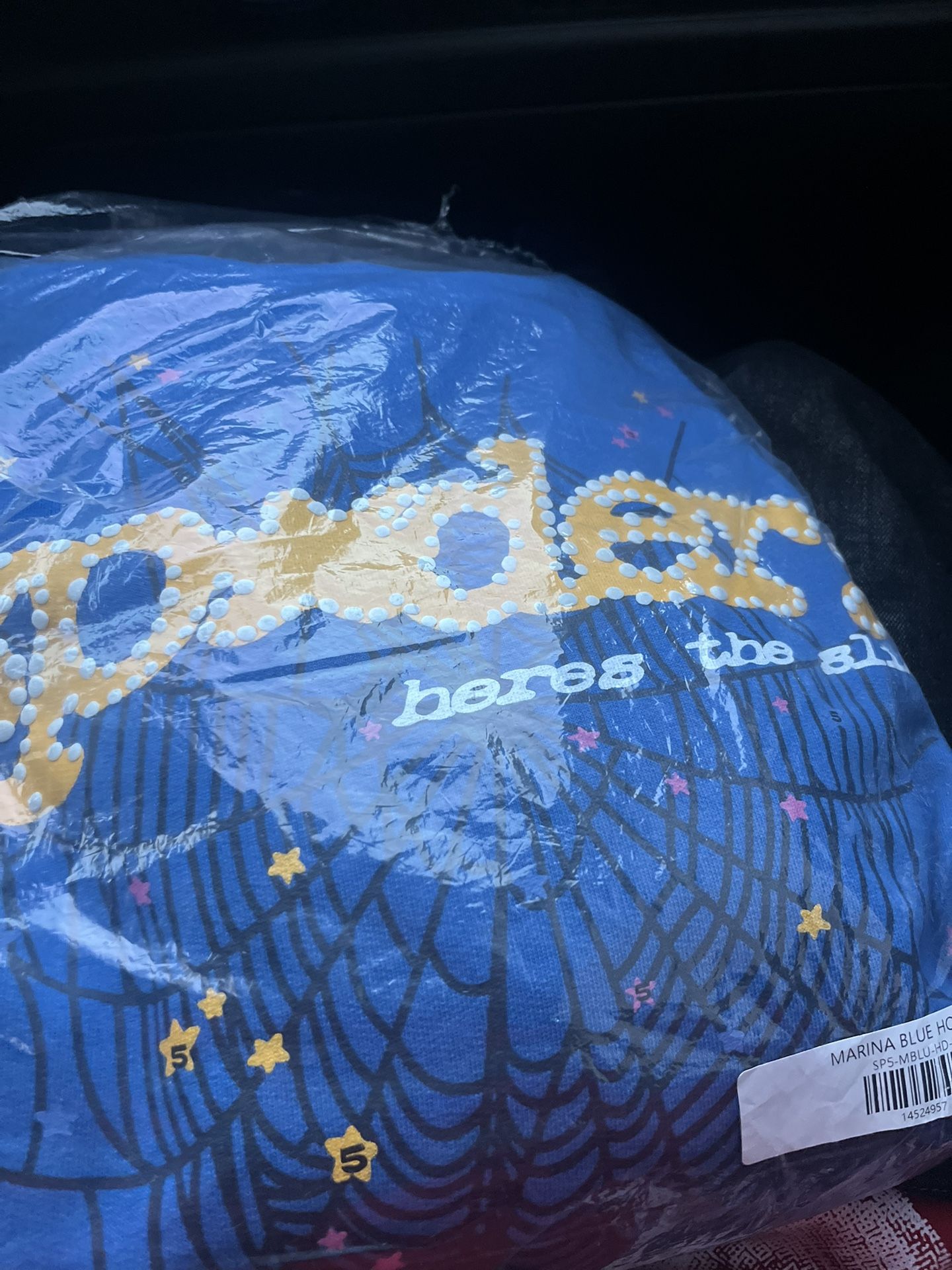 Spider Hoodie