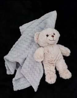 ✅ Baby Boy Blanket & 13"Plush Teddy Bear• Great Condition• $8firm