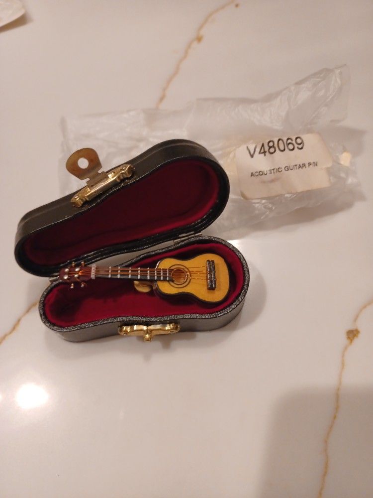 Acoustic Guitar Pin & Case