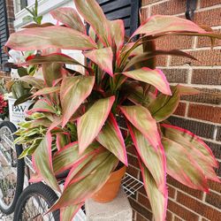 Realistic artificial plants