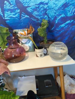 Unique Fish Bowls