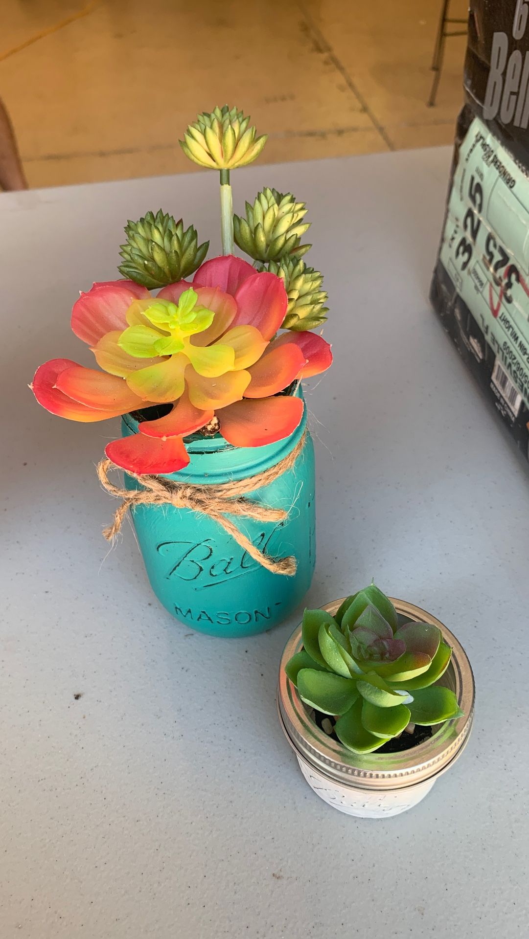 Set of 2 Succulents